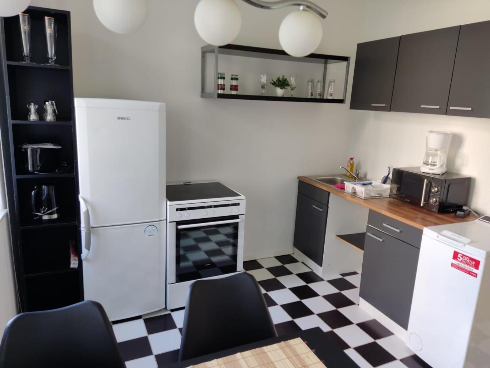 Flex Aparts - Grosse, Moeblierte Wohnung In Zwickau Mit 2 Zimmern Экстерьер фото